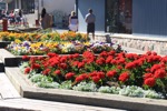 resIMG_20170714_182034_8668.JPG